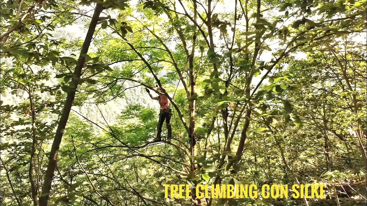 Un giorno di Tree Climbing con Silke