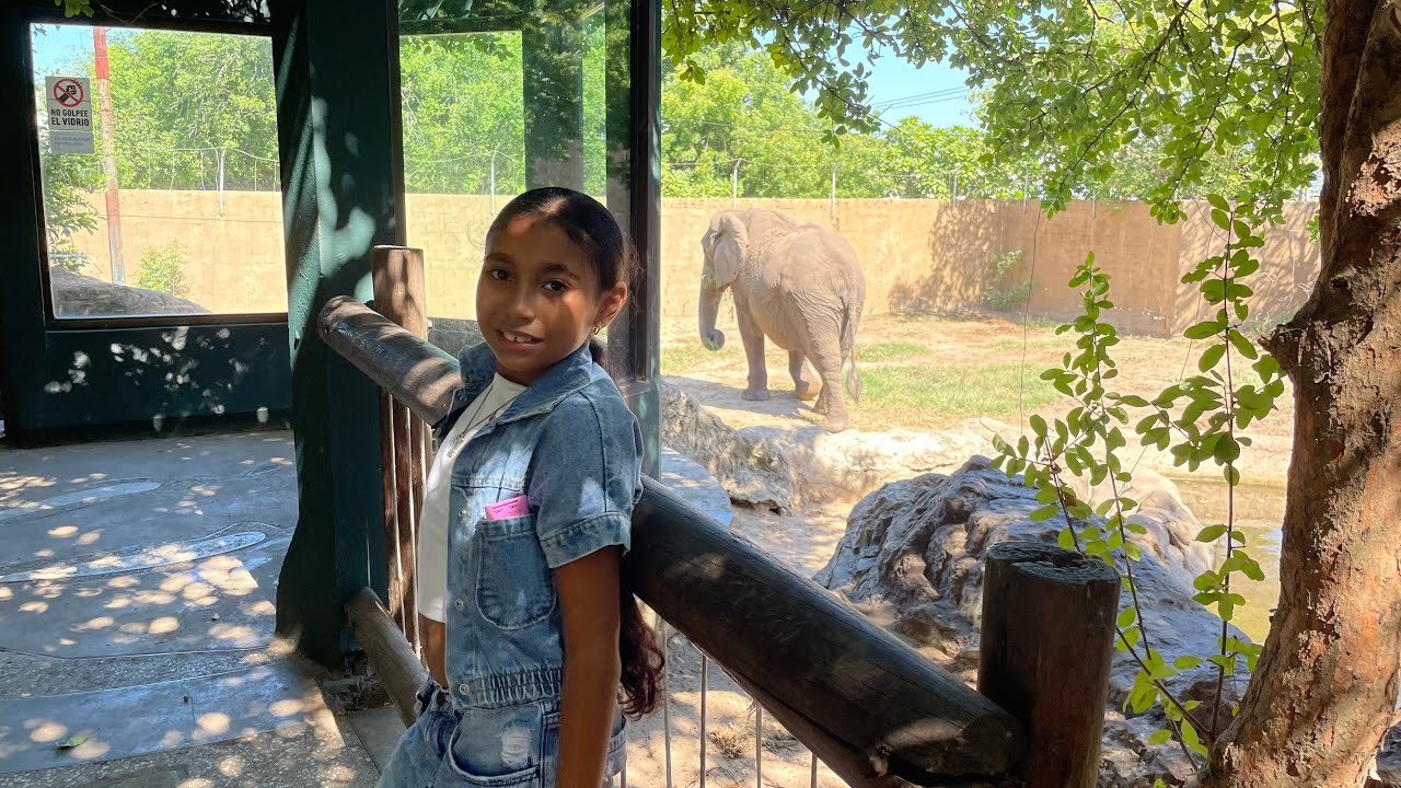Explorando el Zoológico de Barranquilla 🎉  Aprende y diviértete conmigo #zoologico #barranquilla