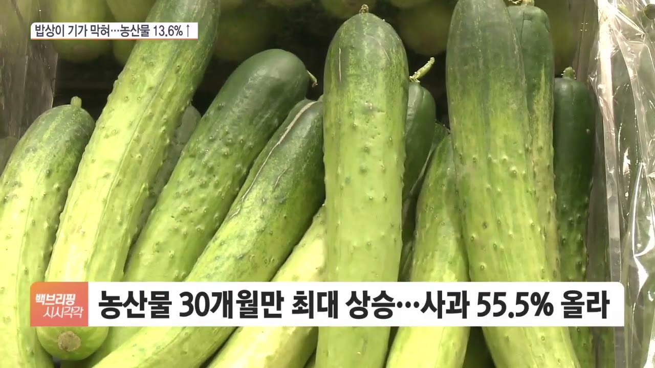 '먹고 사는' 물가 급등&hellip;농산물 2년 반 만에 최대 상승