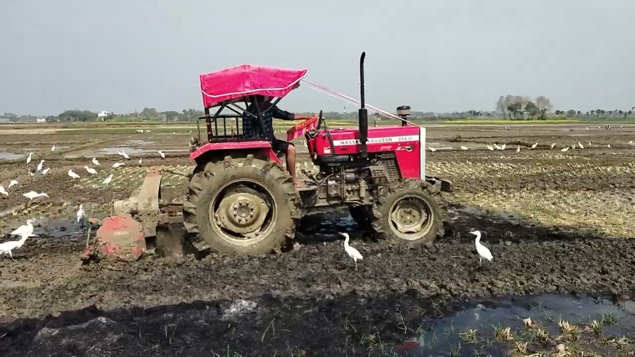 Massey Ferguson 254 Di 4wd 👑 tractor....কেমন চলছে দেখুন বন্ধুরা 😎।