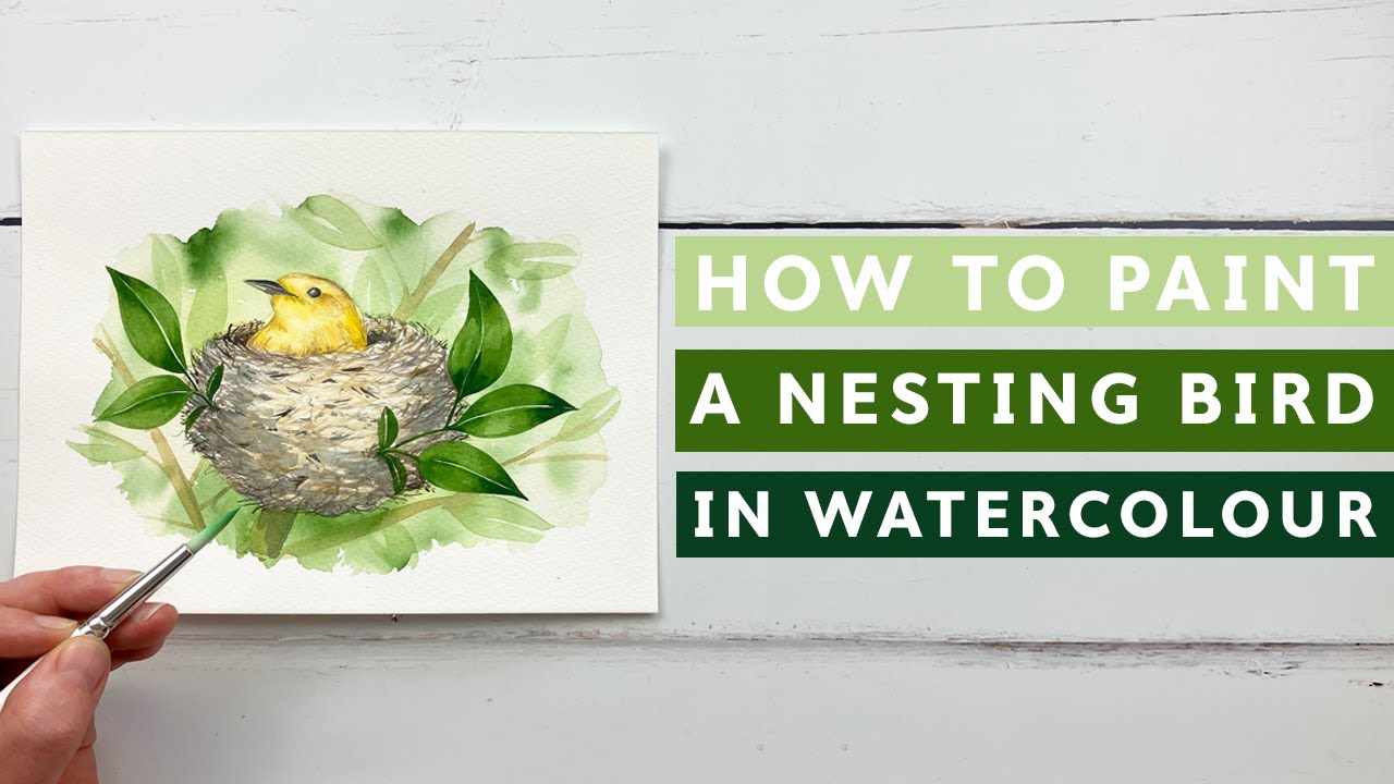 How To Paint A Nesting Bird In Watercolour