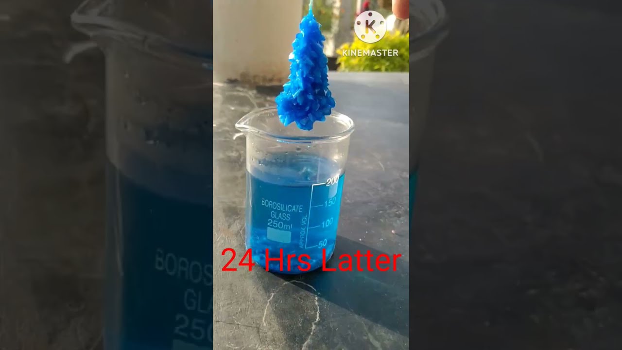 Growing Copper Sulphate Crystal //#shorts #youtubeshorts #short