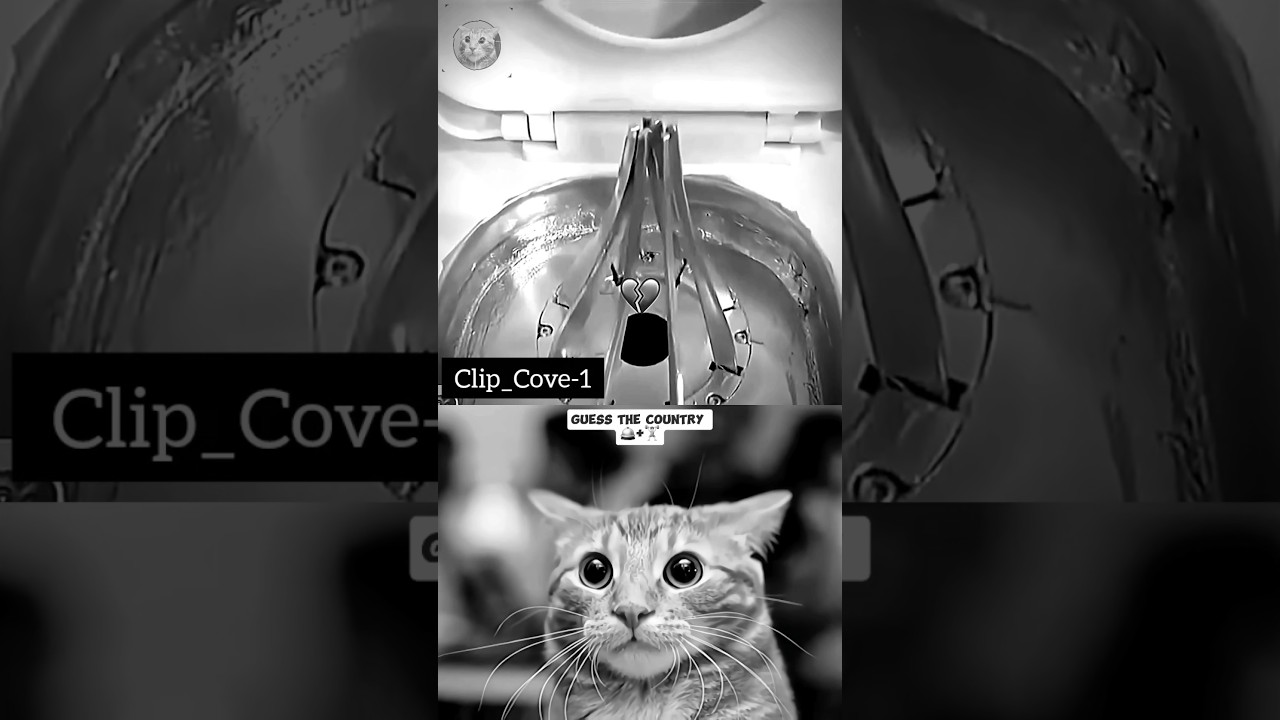Last moment 🤣 #keşfet #cat #memes #viral #duet #trending