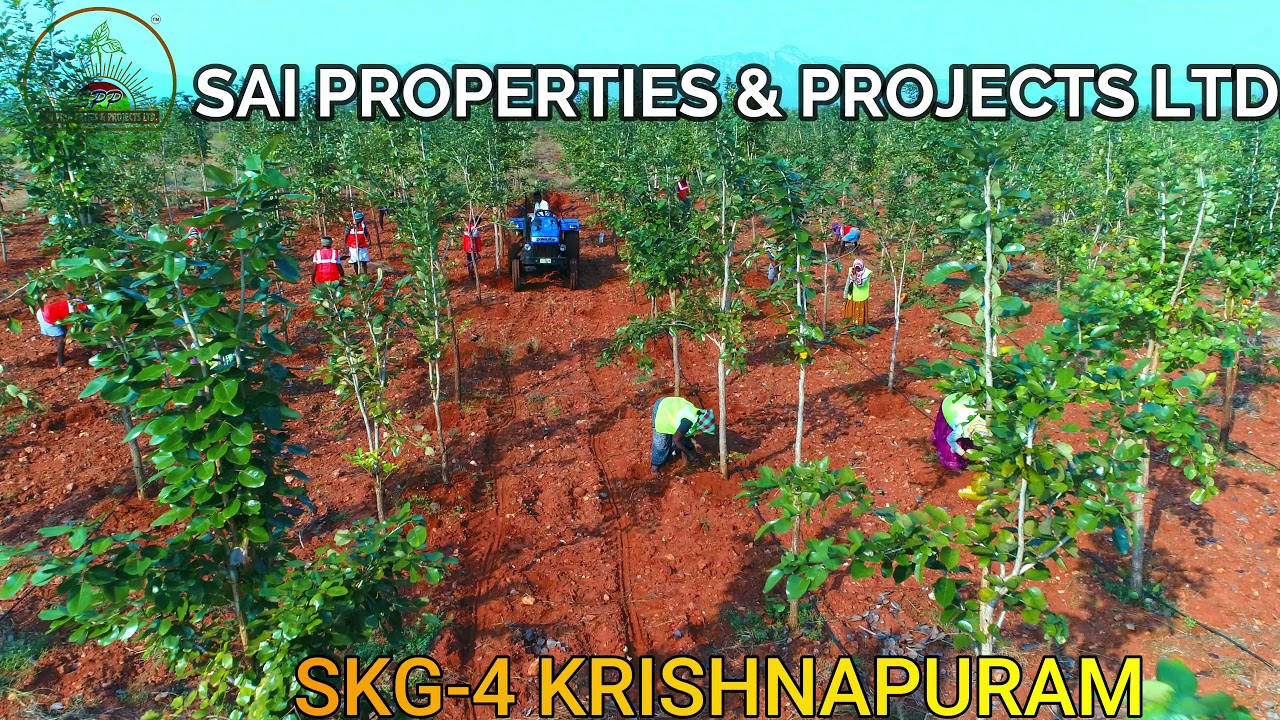 Redsandal | Krishnapuram | SKG 4 | Sai Properties & Projects Ltd |  Latest Video |