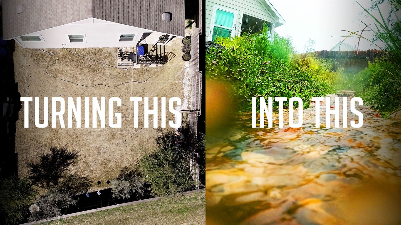 How My Backyard Swale Handled a Texas Flood