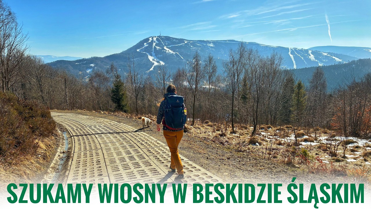 Szukamy wiosny w Beskidzie Śląskim