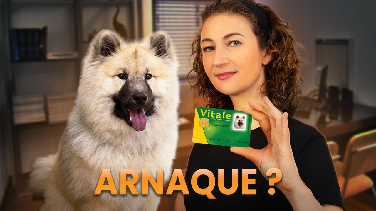 Non aux mutuelles pour chien ?