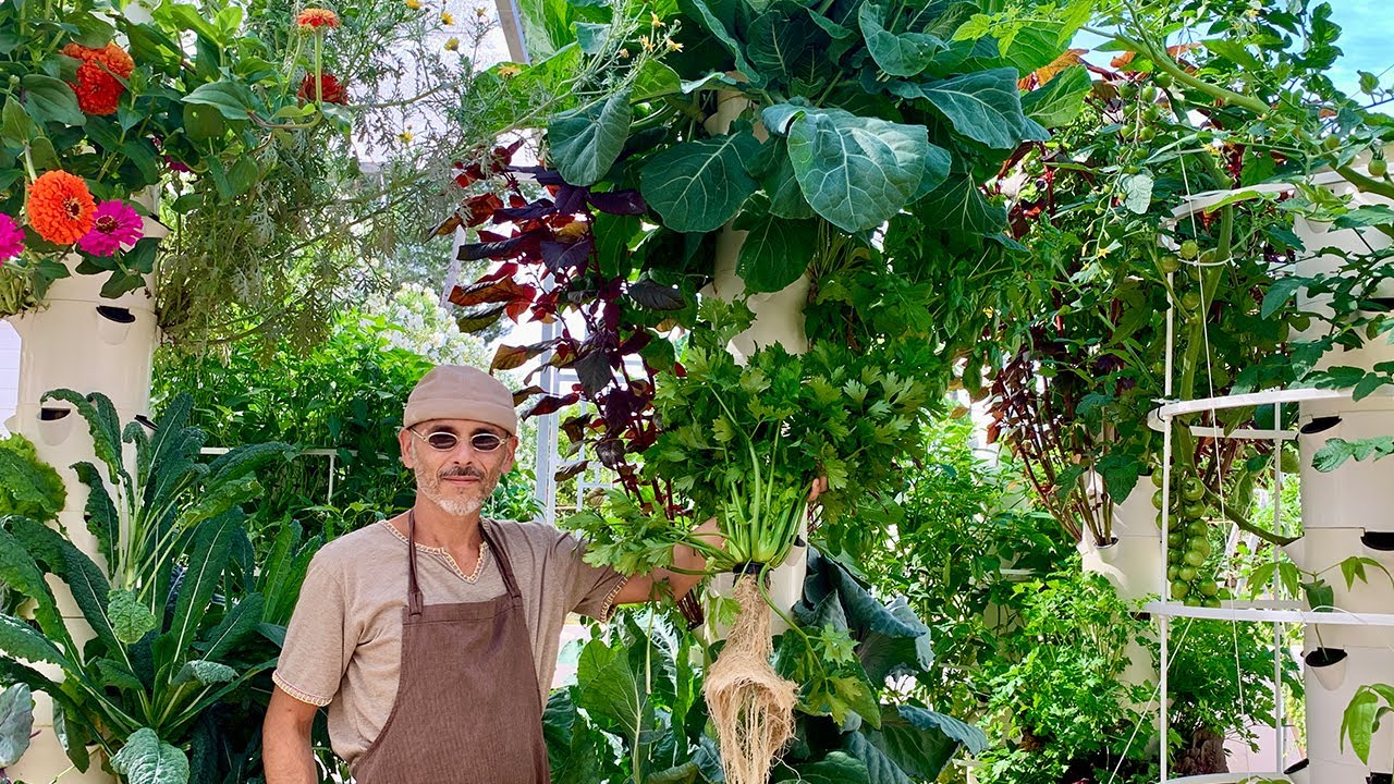 What grows well on a Tower Garden?
