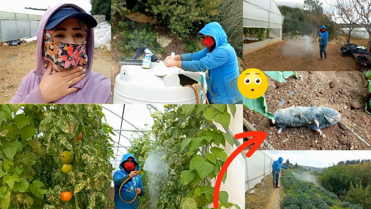فلوك بين الخيم شوفو 😱صلاح شو 🦦صيد ورشنا🌱🍅 دوه خيم 
