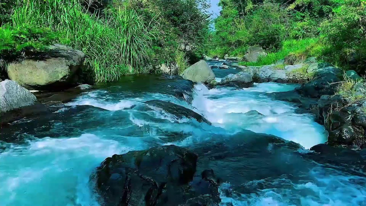 Forest River Water Flow Ambience, Mountain Stream, Sleep