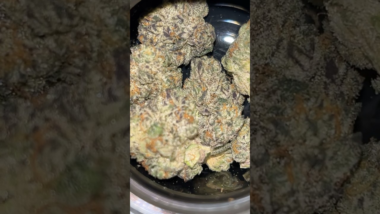 First Time Trying Ice Cream Cake Strain in Missouri!