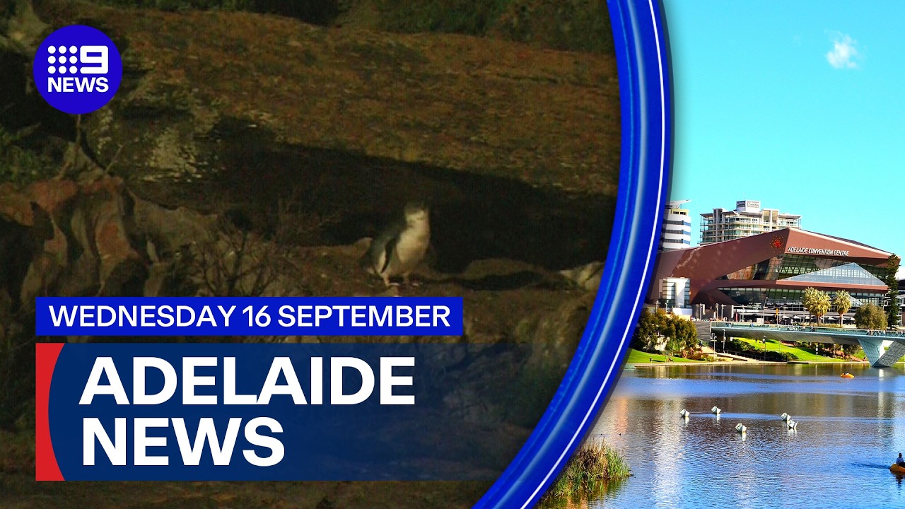 9News Adelaide | Wednesday September 16 | Full Bulletin