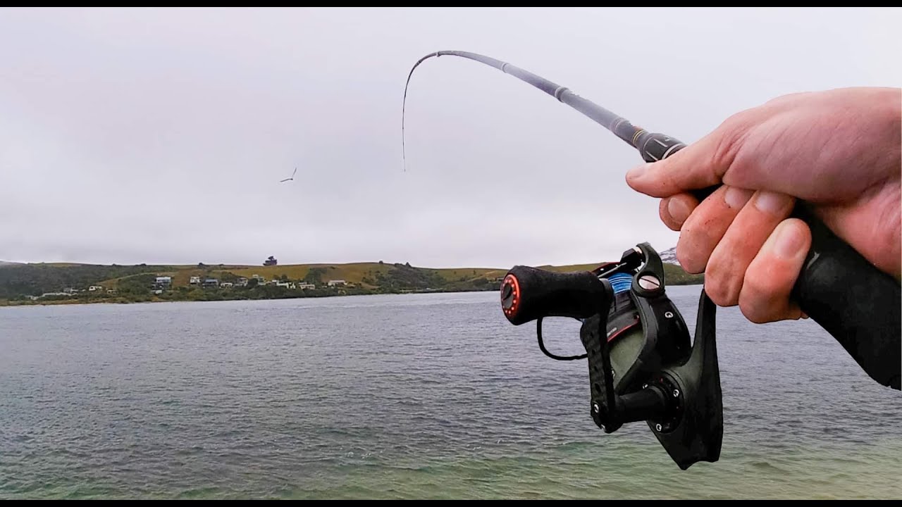 The Most Under Rated Light Tackle Fish! (Epic Battles)