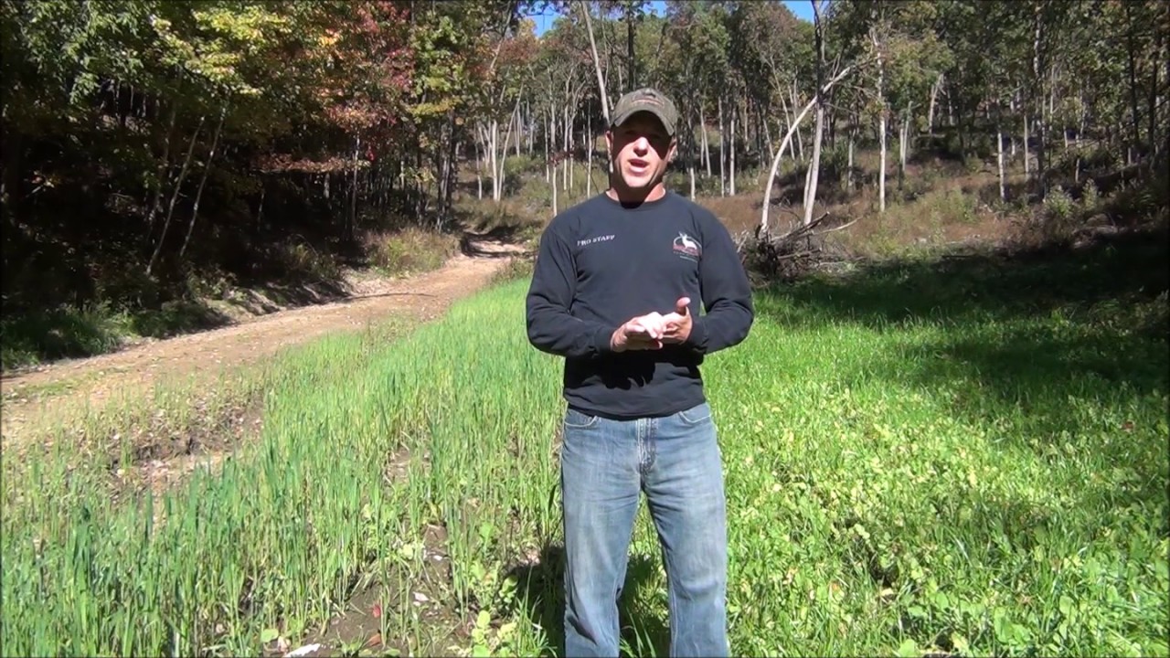 MonsterBuck Food Plot - Fall Kill Plot Mix