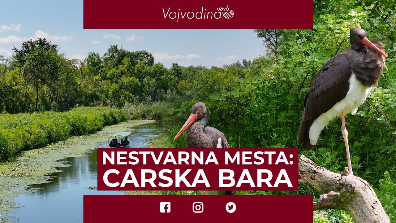 Nestvarna mesta: Carska bara