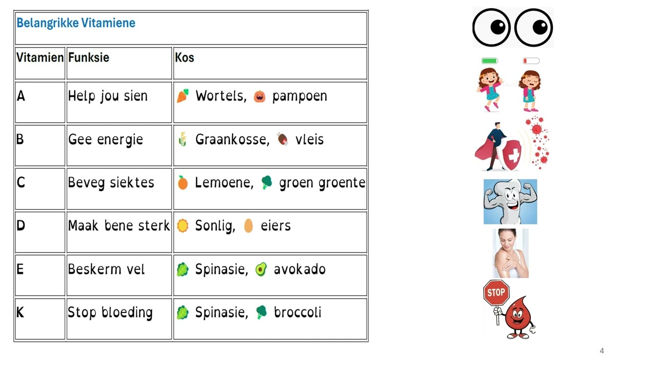 NWT O2E1 Voedselgroepe