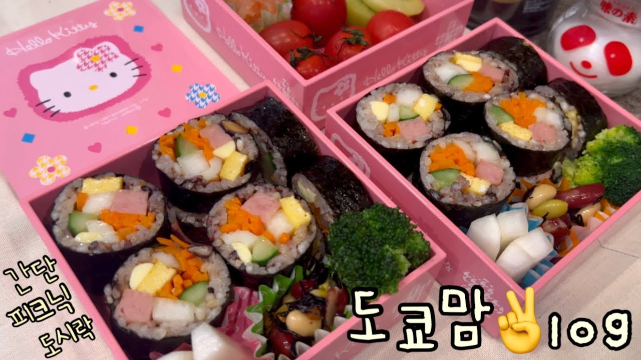 피크닉 도시락🍱 도쿄 숨은 명소, 가조엔 호텔 철판구이🥩 대장 내시경🥶  #신라면더레드 먹던 일상 🍜
