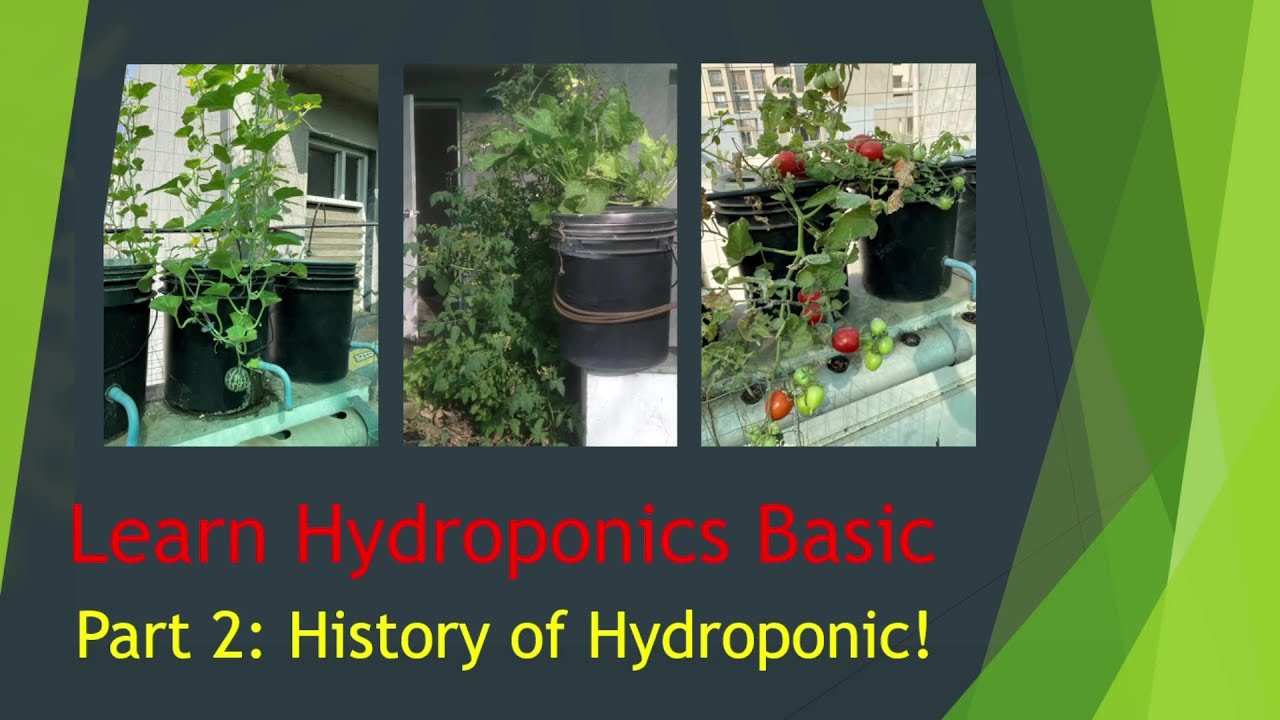 Learn Hydroponic Basic Part 2//History of Hydroponic//How it has evolve & it's future prospect