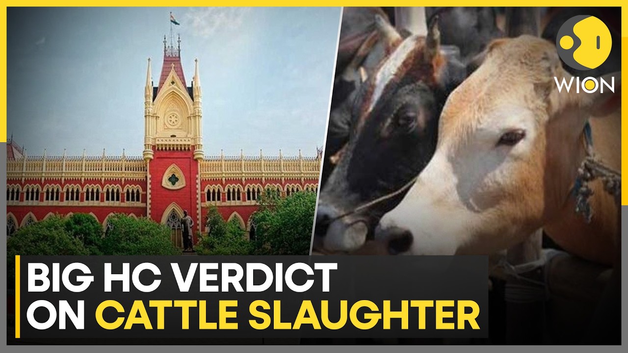 Calcutta High Court Upholds Cattle Slaughter Restrictions Ahead Of Eid | WION World DNA