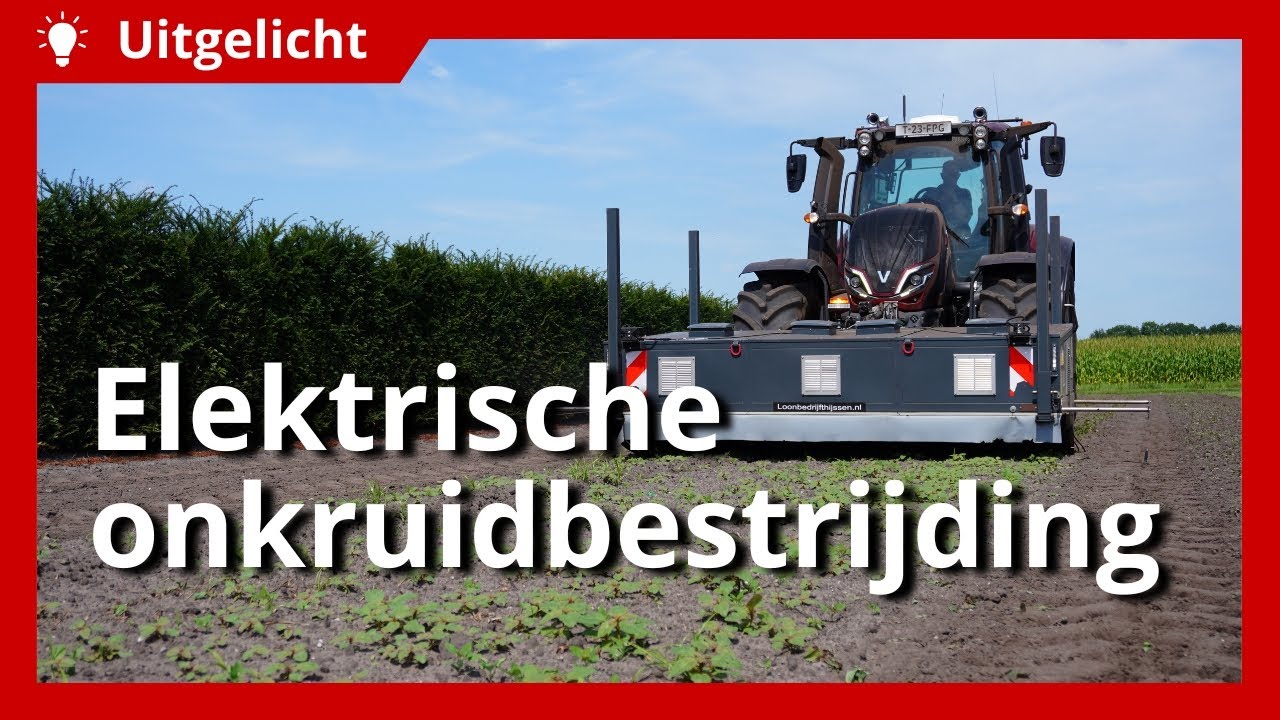 Uitgelicht | Elektrische bestrijding jacobskruiskruid en knolcyperus