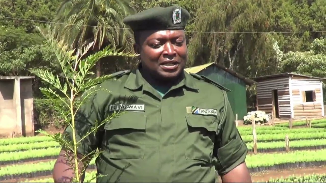 Tiba Mbadala yapiga hatua kutibu Tezi Dume