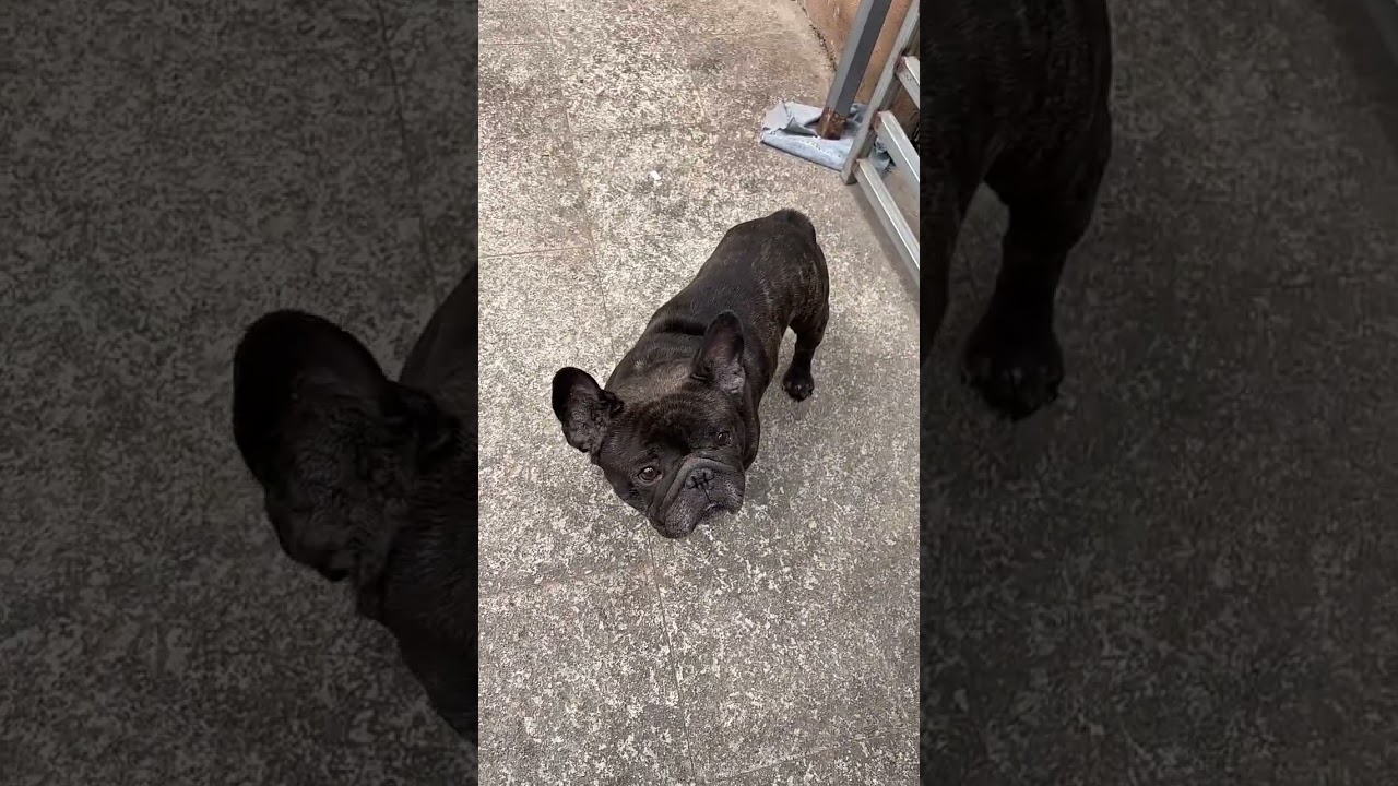 7654729404178810536