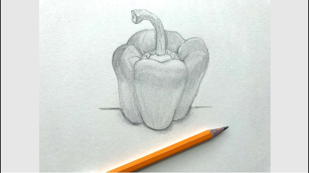 Sketch Challenge Week 22 | Bell Pepper Pencil Sketching | Object Drawing