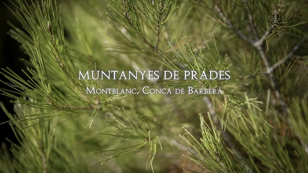 Muntanyes de Prades (Montblanc, Conca de Barberà)