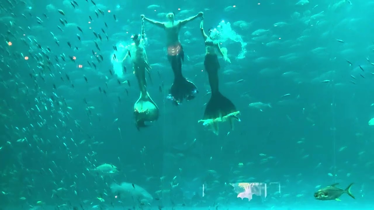 Mermaid