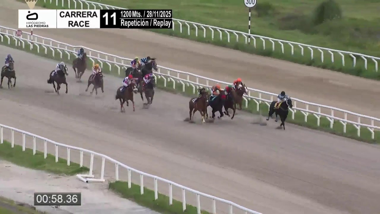 CARRERAS HIPÓDROMO LAS PIEDRAS 28/11/25 | EN VIVO | URUGUAY