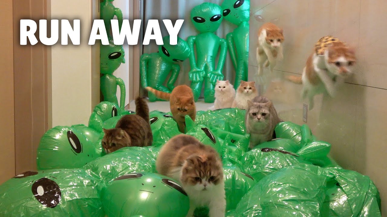 Extreme Alien Escape Challenge
