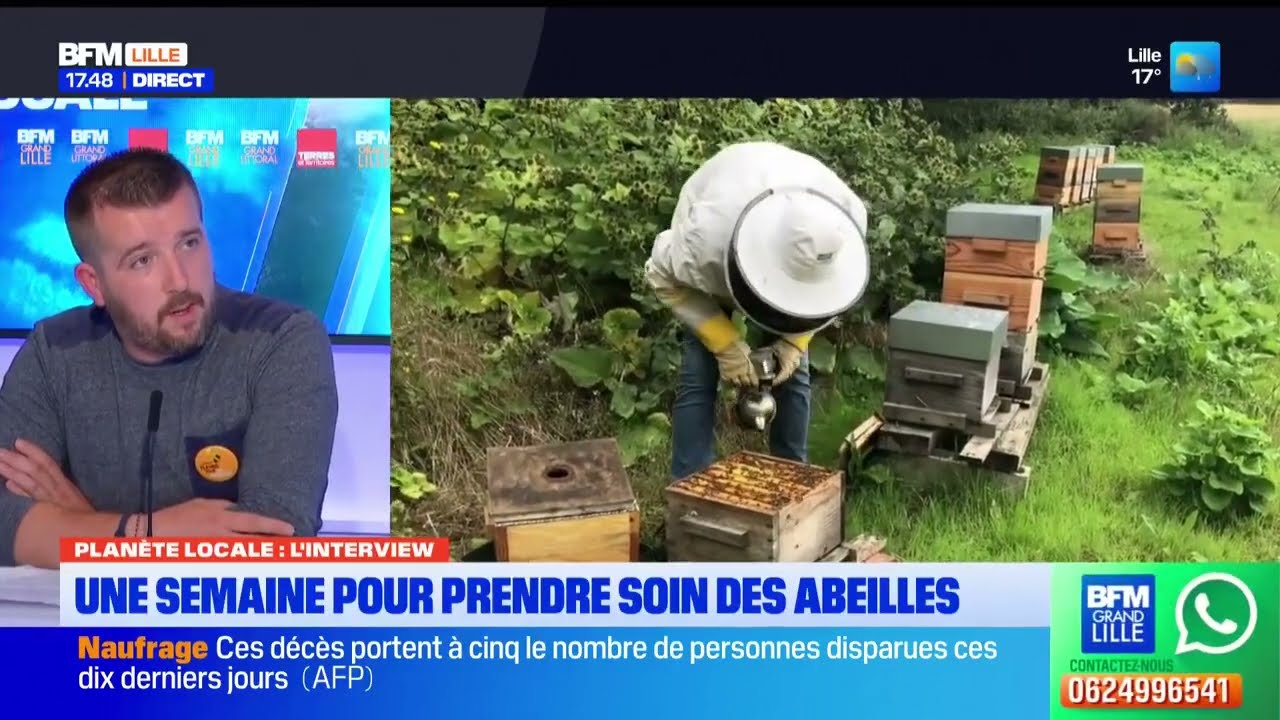 Semaine des fleurs pour les abeilles : comment agir concrètement ? | Planète Locale