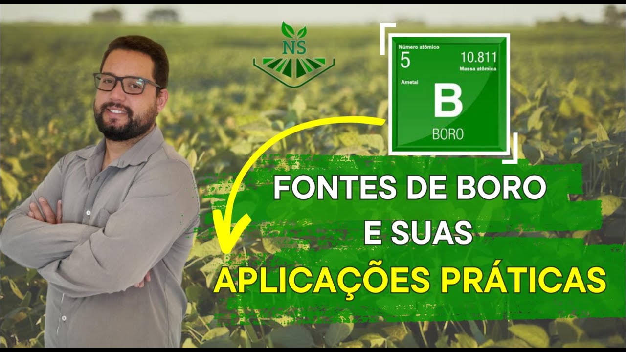 Diferentes FONTES de BORO na agricultura, CARACTERÍSTICAS  e aplicações PRÁTICAS