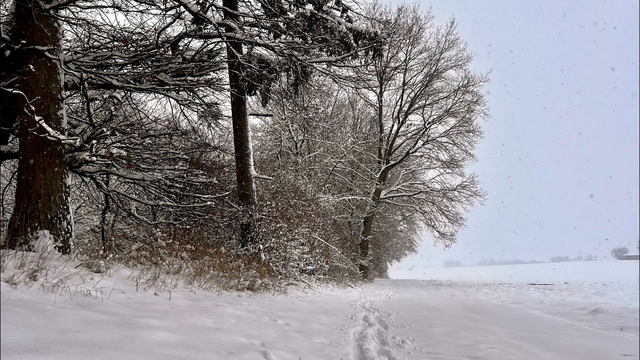 Schnee, Schnee, Schnee….