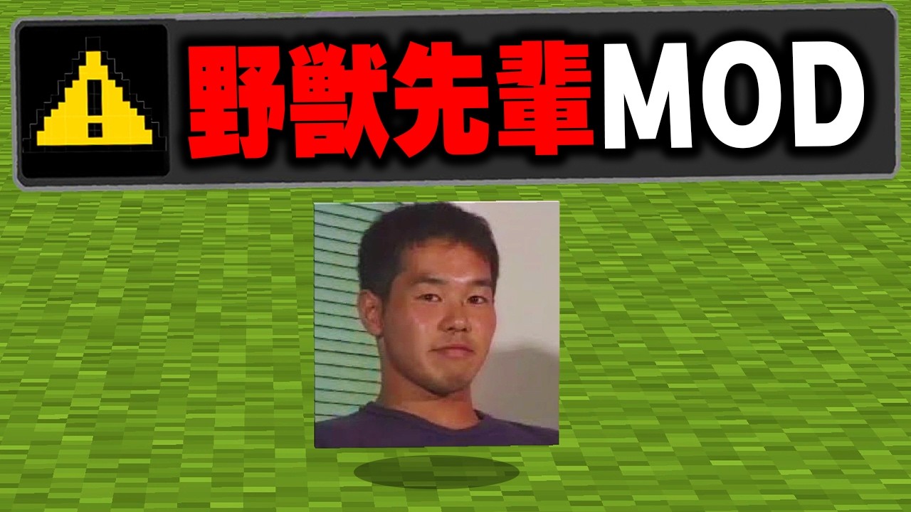 マイクラの謎に包まれた