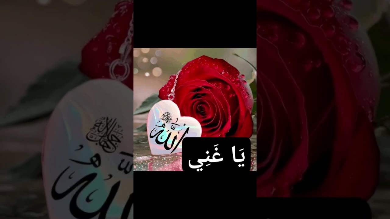 #Wagifa#shorts #video #pablic #💞💚👍👍&hearts;️😍💫👈🇸🇦#
