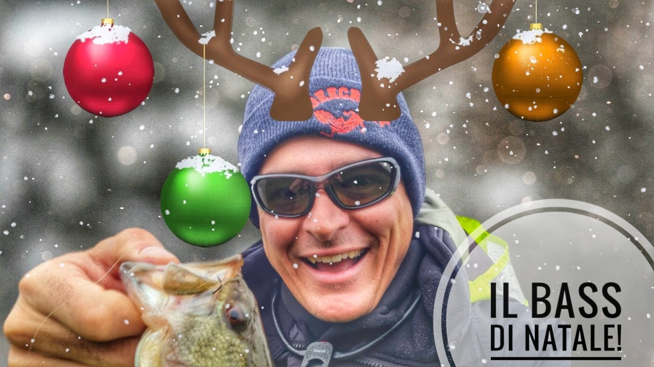 PESCA AL BLACK BASS : A bass col Quinta - Il bass di Natale dove non andavo da 10 anni!