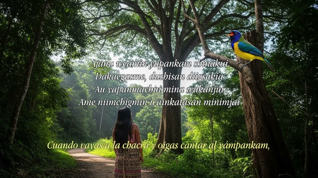 Yampankam, Taish (Cover)(Originally Performed By Corazon Awajun)