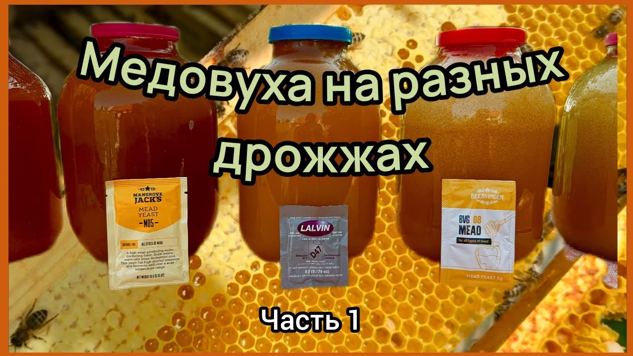 Медовуха на дрожжах Mangrove Jacks M05, Beervingeem BVG 08, Lalvin D47. #медовуха #mead