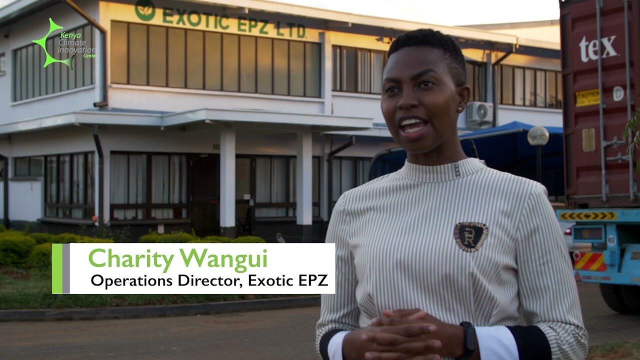 Inside Kenya's macadamia nuts venture: Exotic EPZ Limited