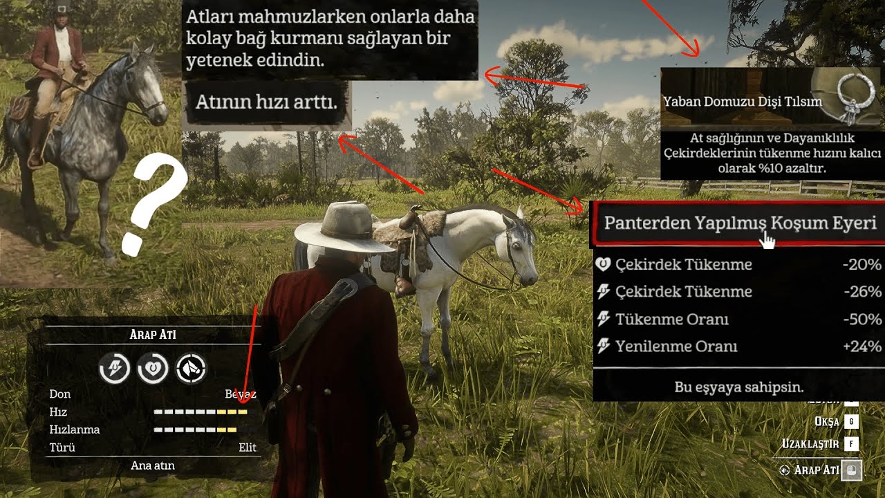 RDR 2 At Yarışları-Tılsımlar Ve Doğru Bir Eyerle Atınız Artık Çok Daha Hızlı Ve Güçlü Olucak. Nasıl?
