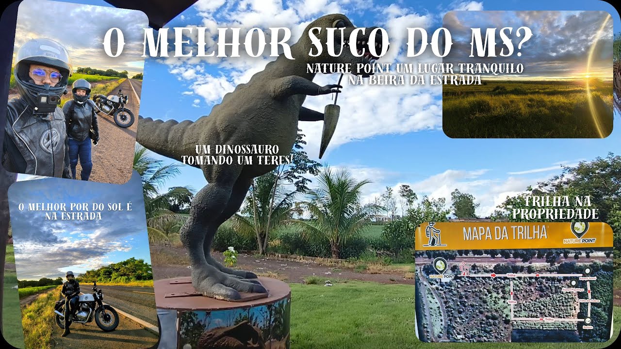 Nature Point - Seria esse o melhor suco do MS?
