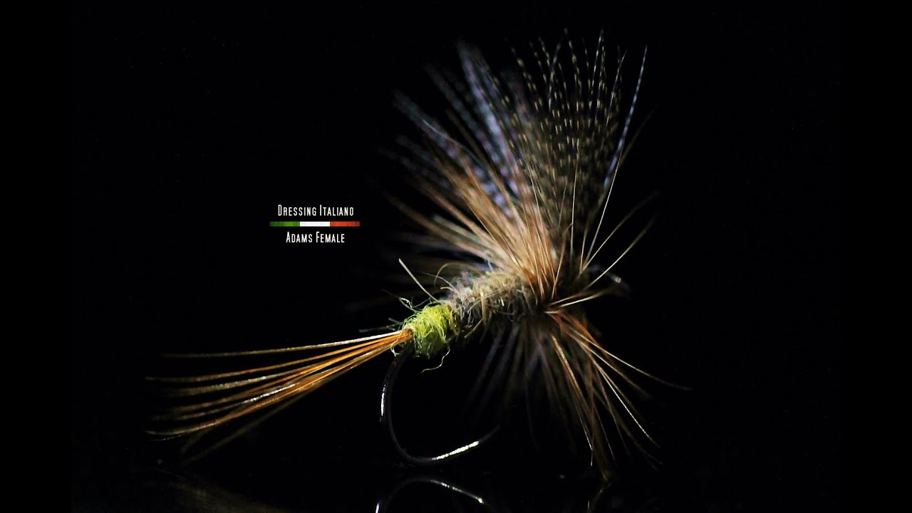 Costruire una Mosca Secca Adams Female