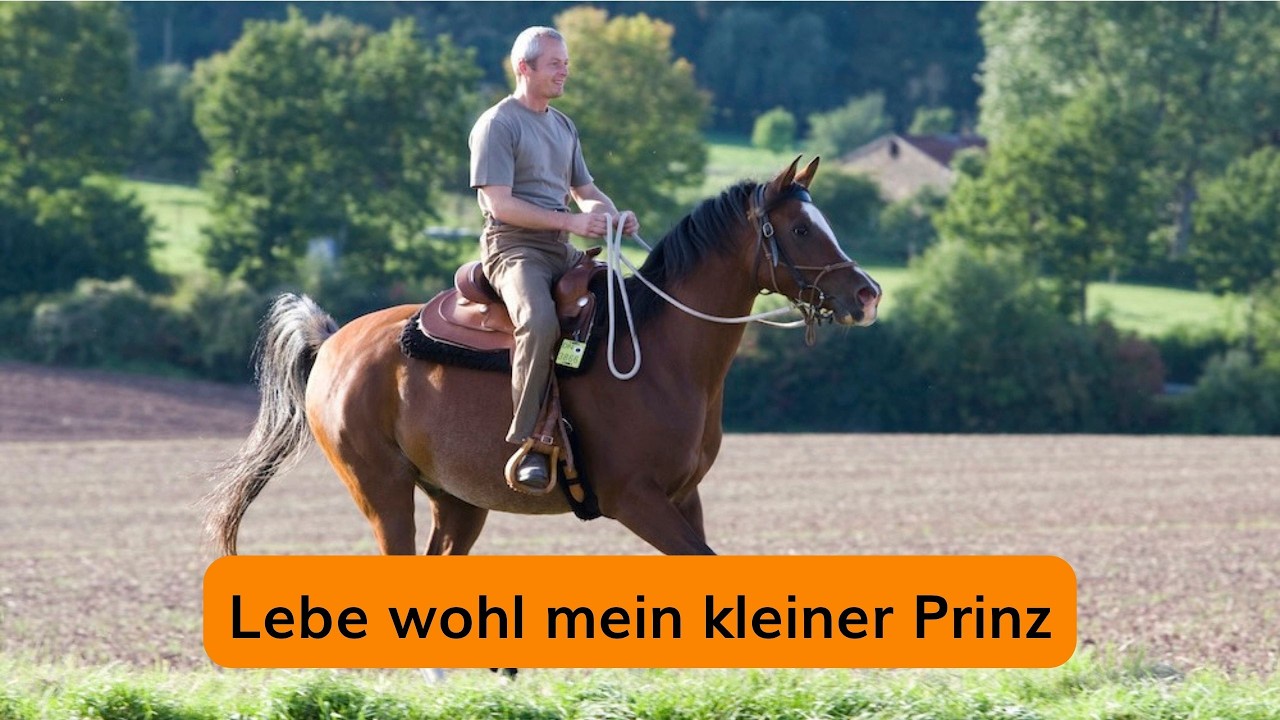 Die letzten Stunden mit meinem Araber Ravel – und wie du mit Trauer besser umgehst.