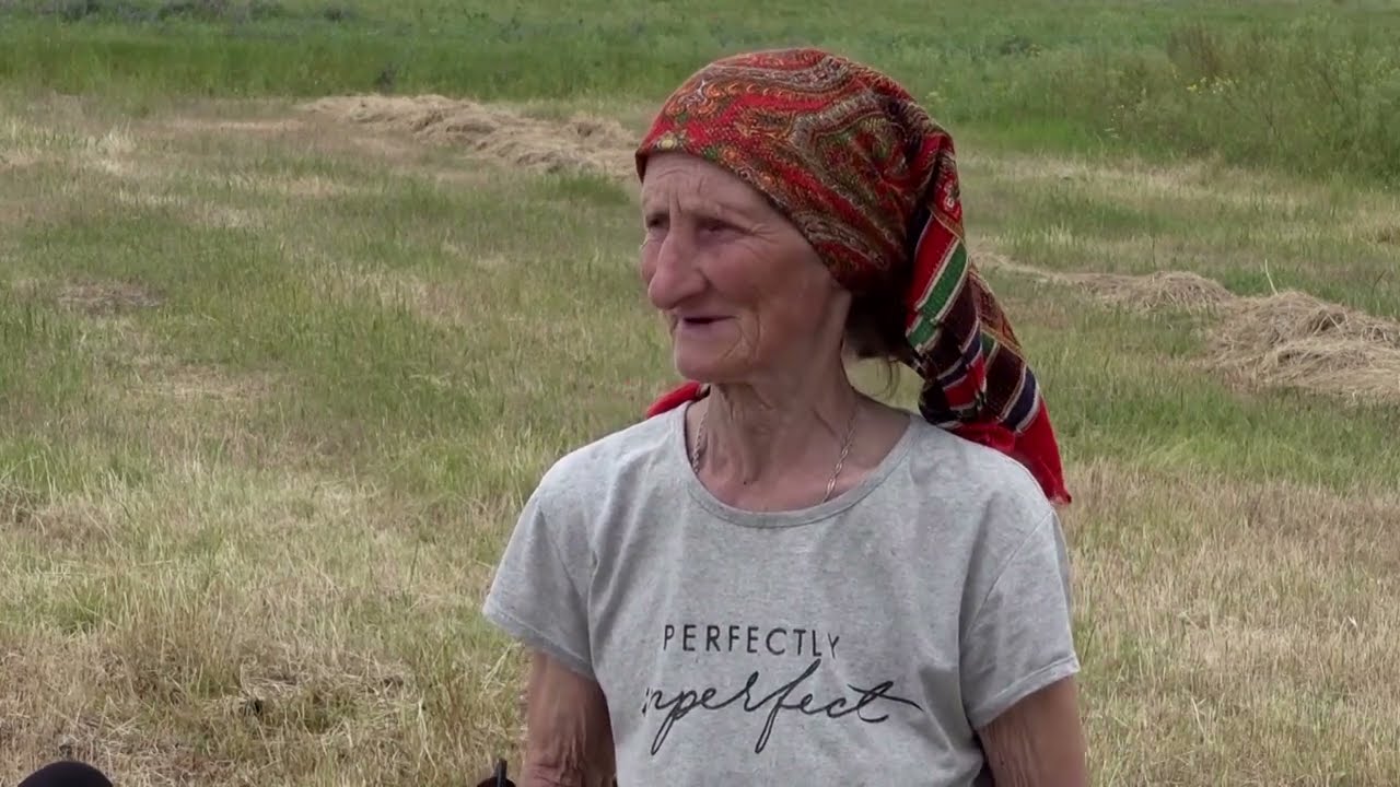 The Ukrainian retiree sweeping landmines for her cow