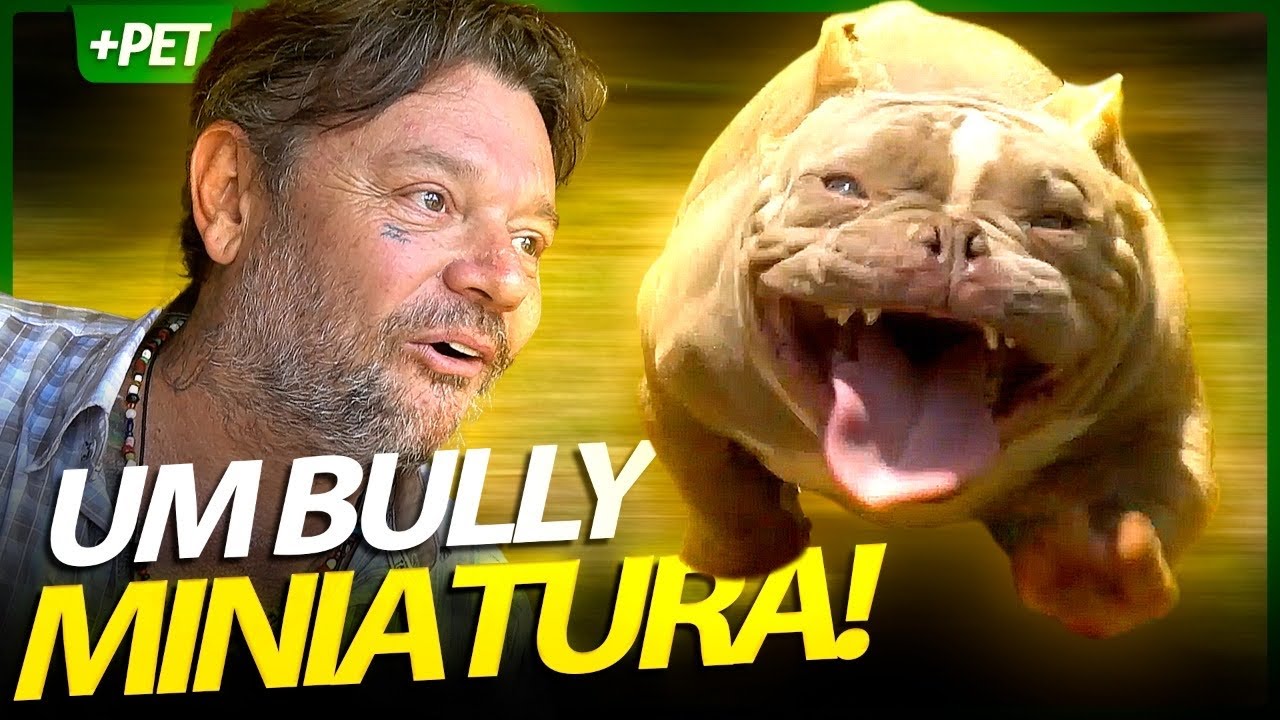 O AMERICAN BULLY MICRO SÓ NASCEM COM CIRURGIA! | RICHARD RASMUSSEN