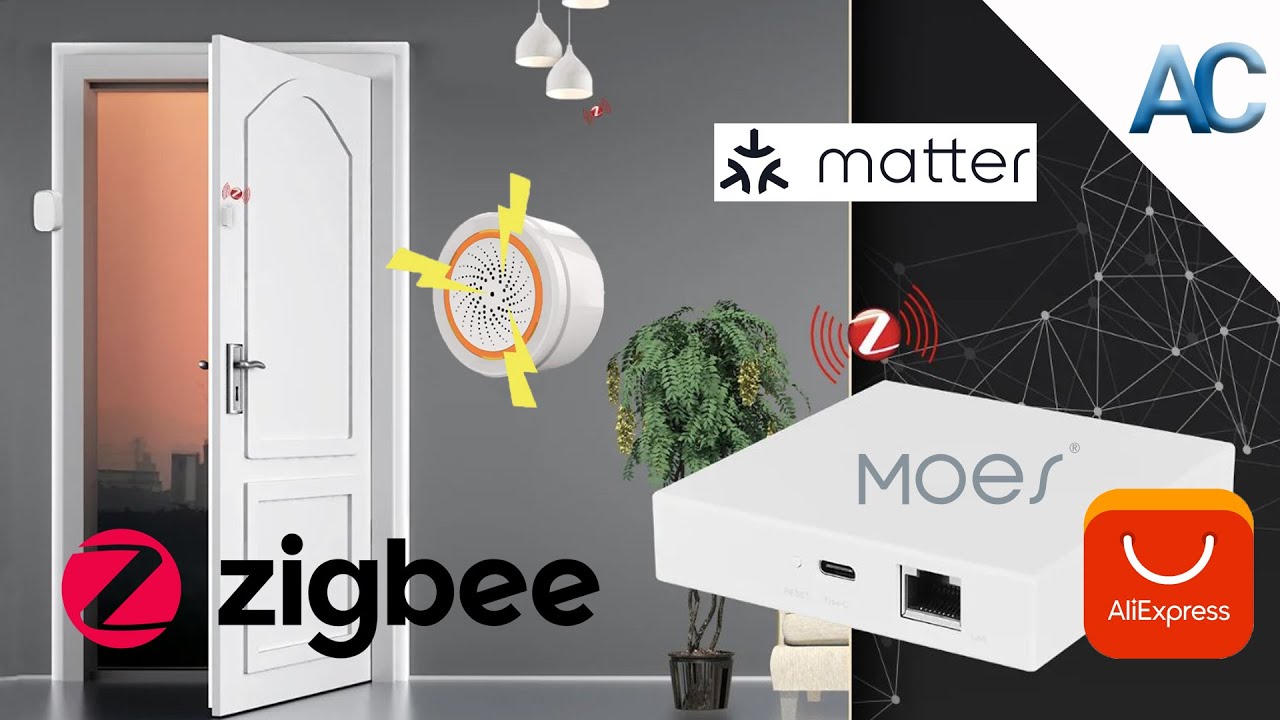 Allarme Fai Da Te per la tua Casa | Con prodotti Zigbee!