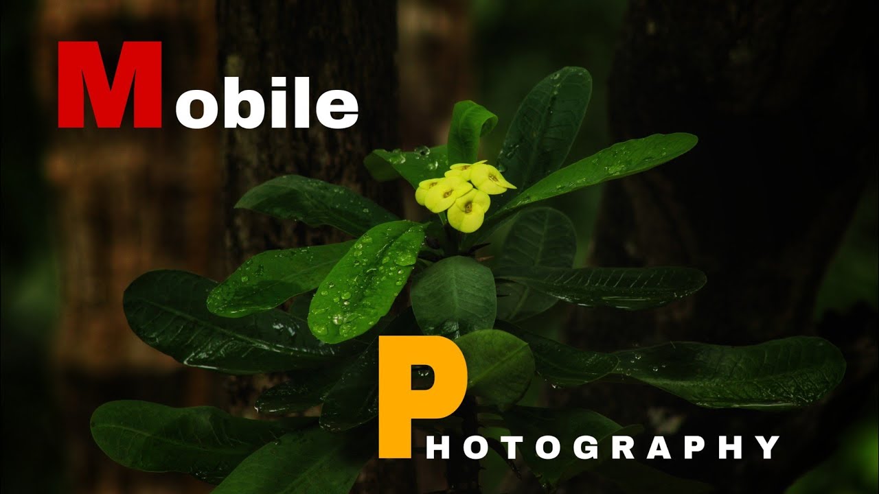 Rainy Photography | Mobile | DSLR