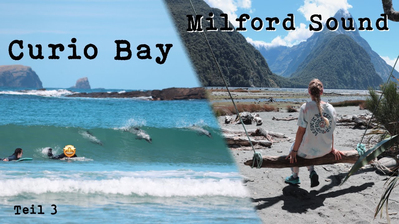 Neuseeland Roadtrip - Südinsel | Milford Sound & Surfen mit Delfinen in Curio Bay | NZ Vlog Teil 3