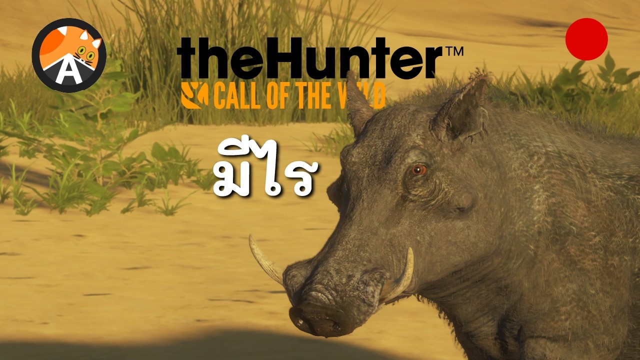 🔴 วันนี้จะเน้นเดินกลางคืน - The Hunter Call of the Wild